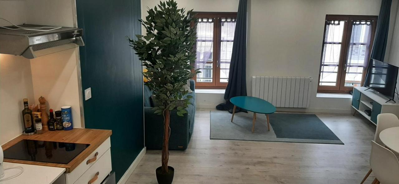 Appartement Netflix Centre De Vienne Pres De Lyon Eksteriør bilde